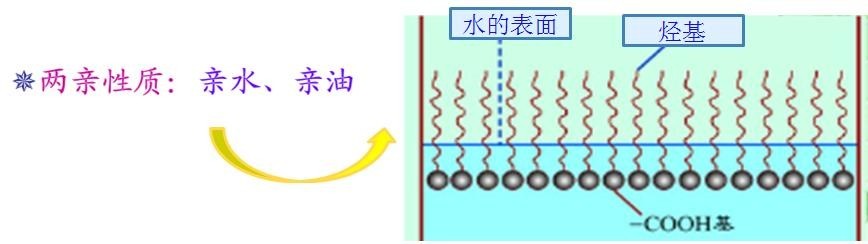 <a href='http://paulingchem.com.cn/product/product-0001,0011,0018.shtml' class='keys' title='點(diǎn)擊查看關(guān)于潤(rùn)濕劑的相關(guān)信息' target='_blank'>潤(rùn)濕劑</a>